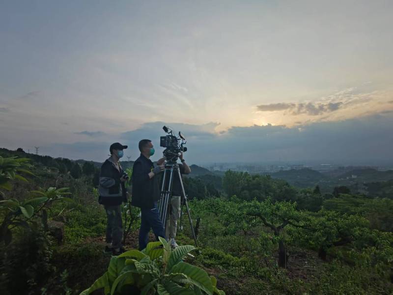 创意破圈！陇县电商产品宣传视频用故事化叙事引爆流量